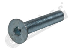 Schraube 1