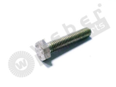 Schraube M 6 x 55 1